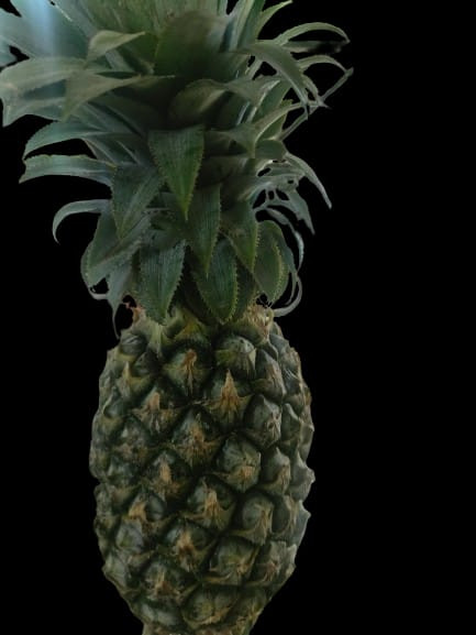 Pineapple