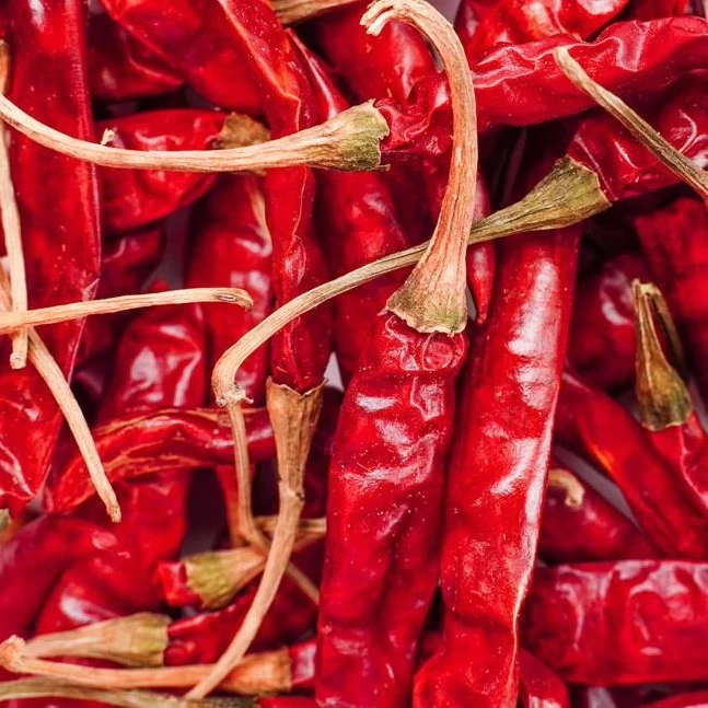 Dry Red Chilly