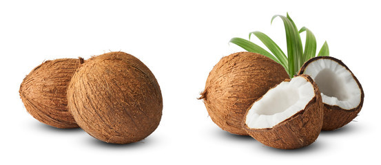 Coconut