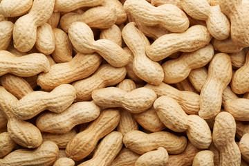 Groundnut
