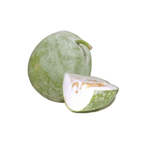 White Pumpkin