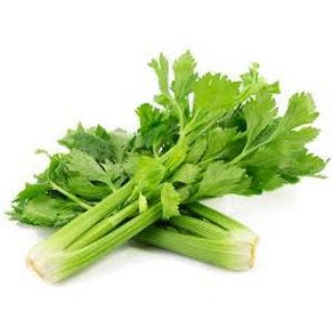 Celery