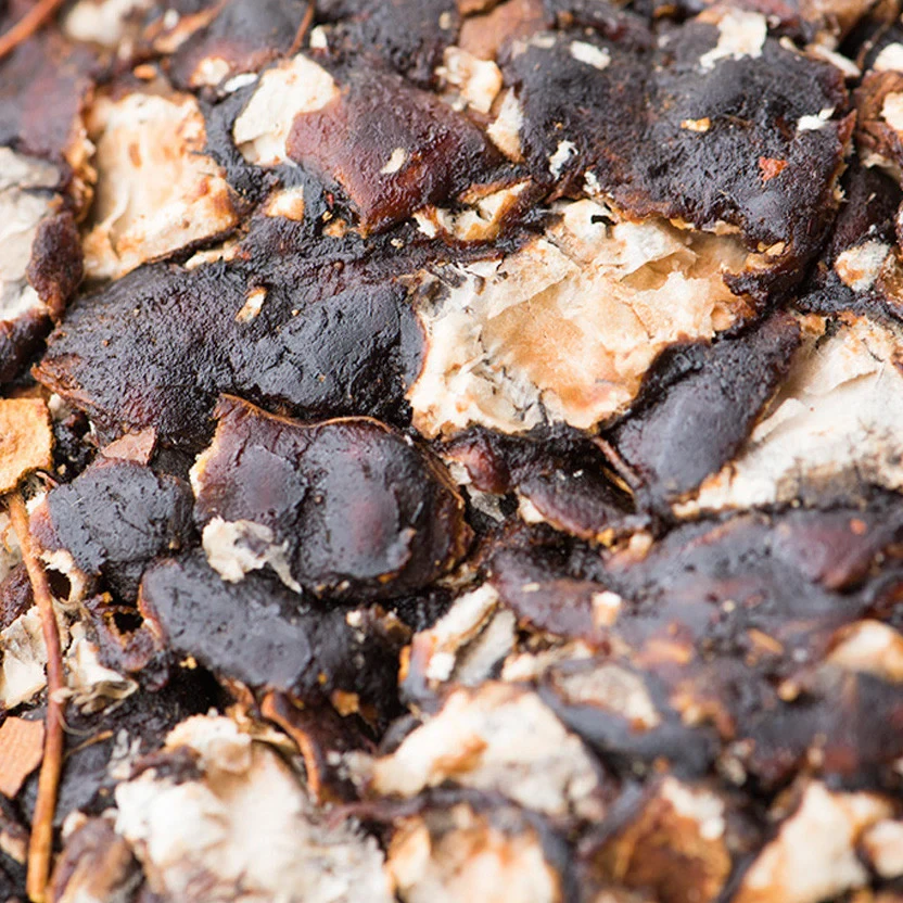 Tamarind