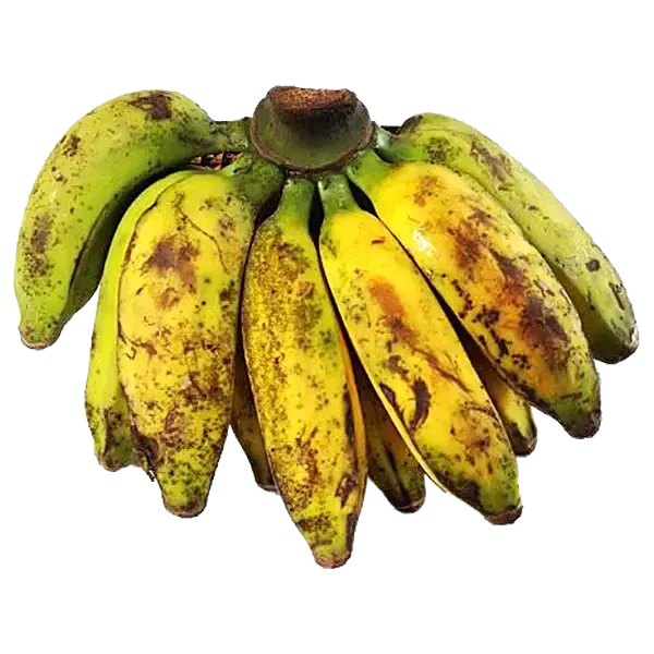 Hill banana