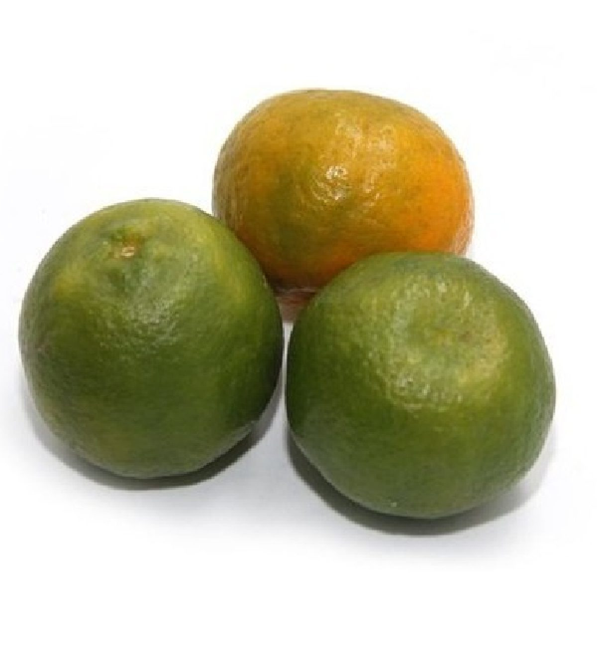 Kamala Orange